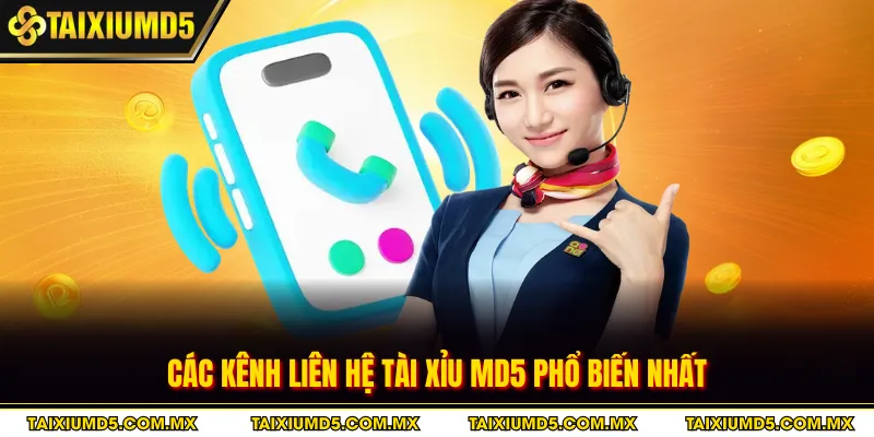 Các kênh liên hệ tài xỉu MD5 phổ biến nhất