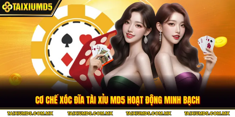 Cơ chế xóc đĩa tài xỉu MD5 hoạt động minh bạch