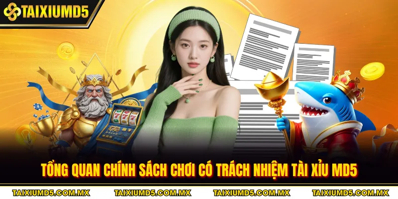 Tổng quan chính sách chơi có trách nhiệm tài xỉu MD5