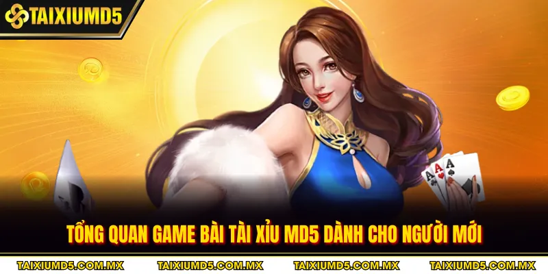 Tổng quan game bài tài xỉu MD5 dành cho người mới